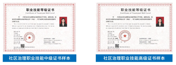 图片4 图片4