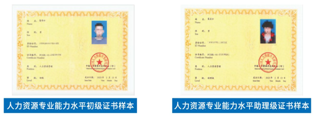 图片5 图片5
